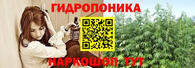 стафф Коммунар