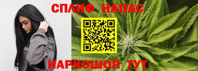 шишки Беслан