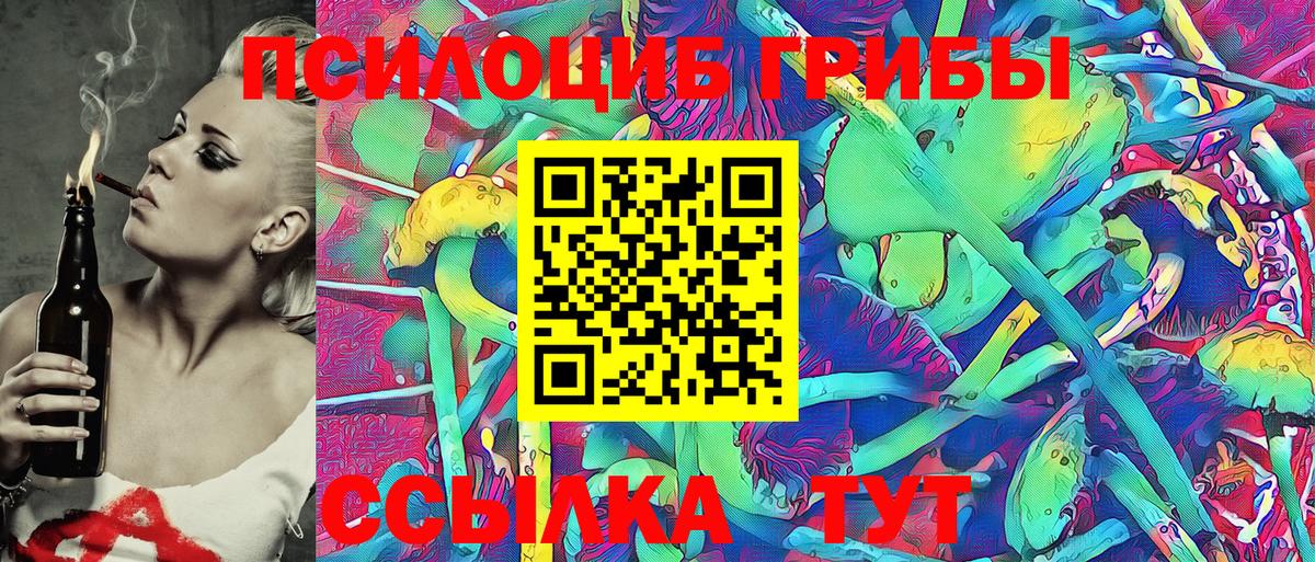 Псилоцибиновые грибы Cubensis  Сатка 